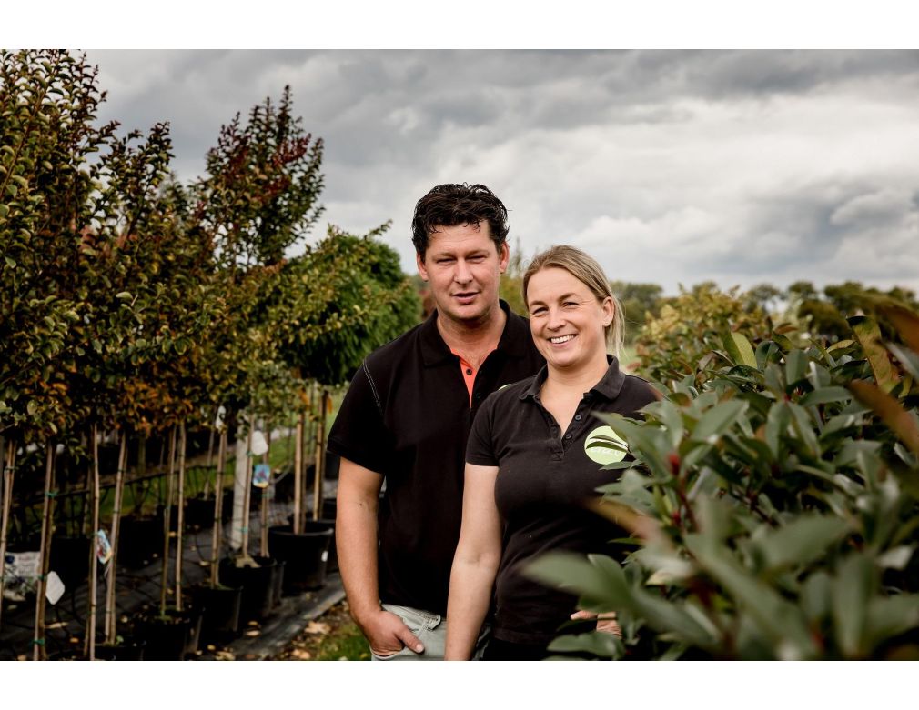 Start online verkoop bomen is gouden greep