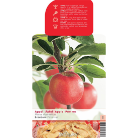 Appel Braeburn patiofruit