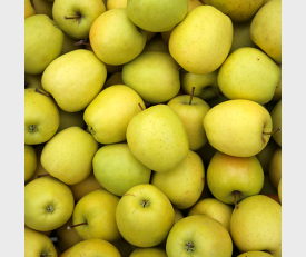 Appelboom Golden Delicious